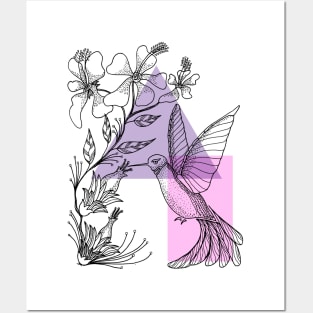 Hummingbird Hand Drawn Posters and Art